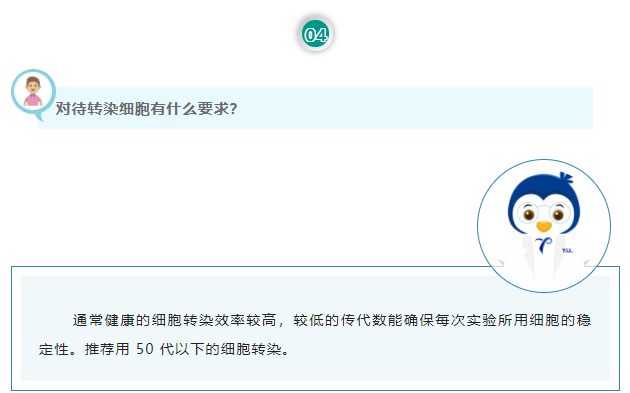 对待转染细胞有什么要求？通常健康的细胞转染效率较高，较低的传代数能确保每次实验所用细胞的稳定性。推荐用 50 代以下的细胞转染。