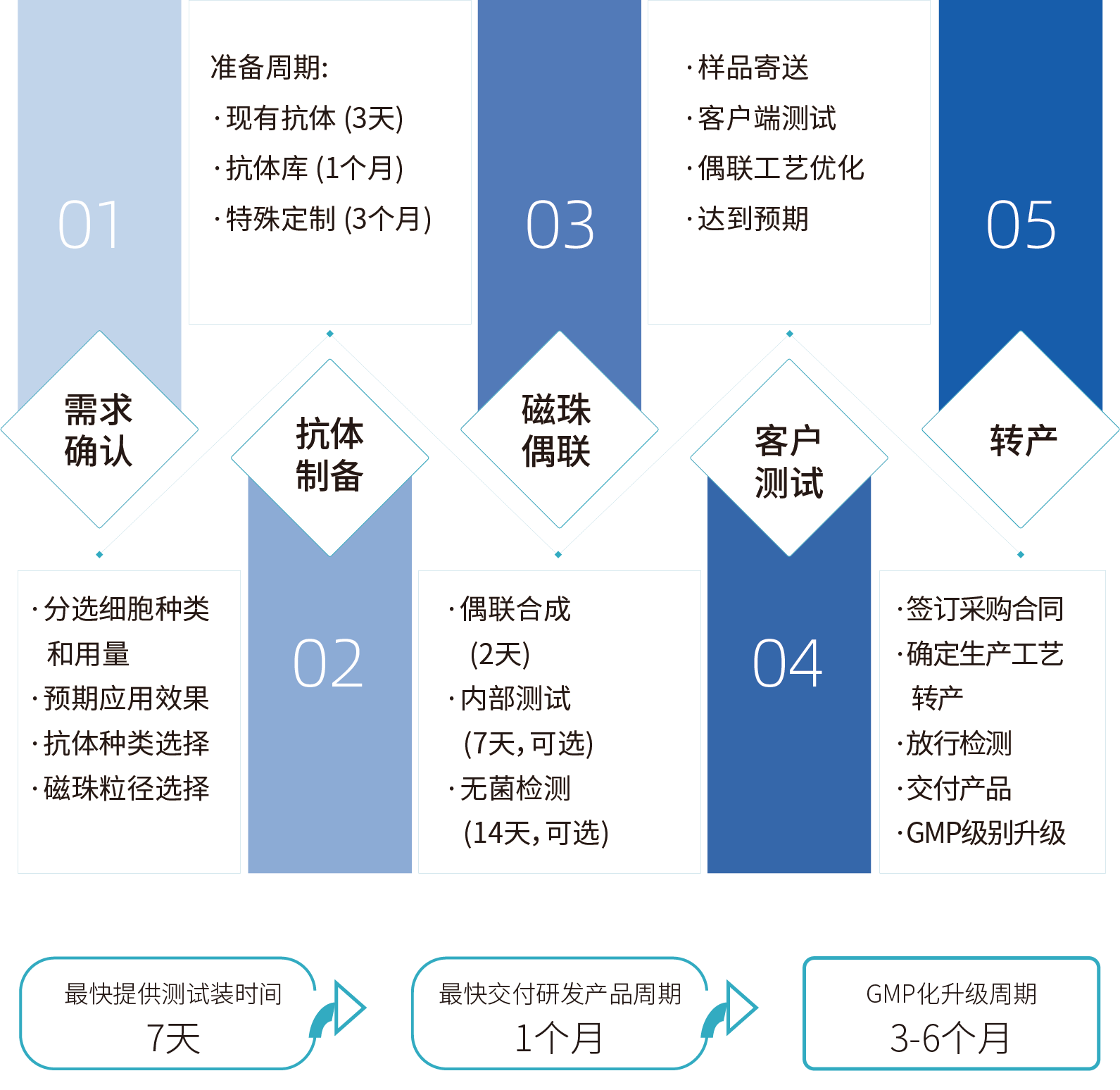 MG不朽情缘网站细胞分选激活磁珠/分选磁珠定制，定制流程