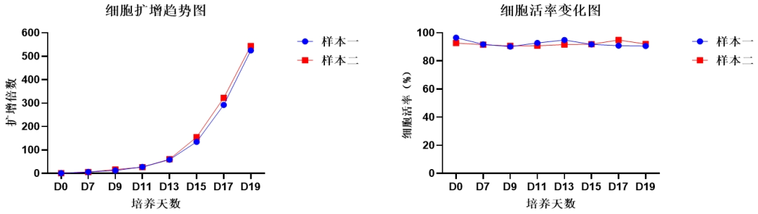 MG不朽情缘网站,NK试剂盒套装3.0,脐血NK细胞培养,NK细胞培养