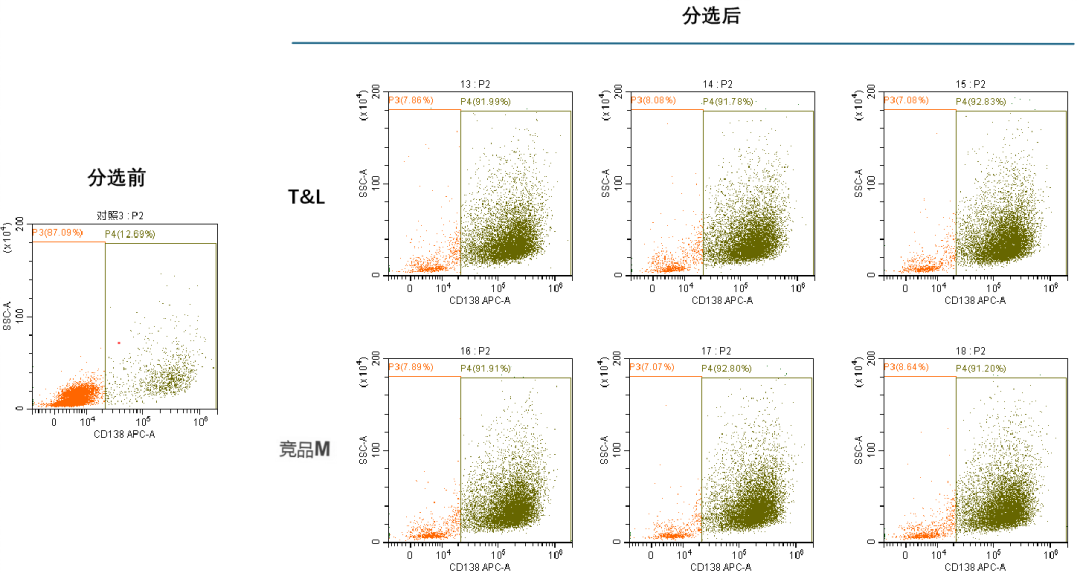 MG不朽情缘网站新品上市-MaxSortin™CD138分选磁珠