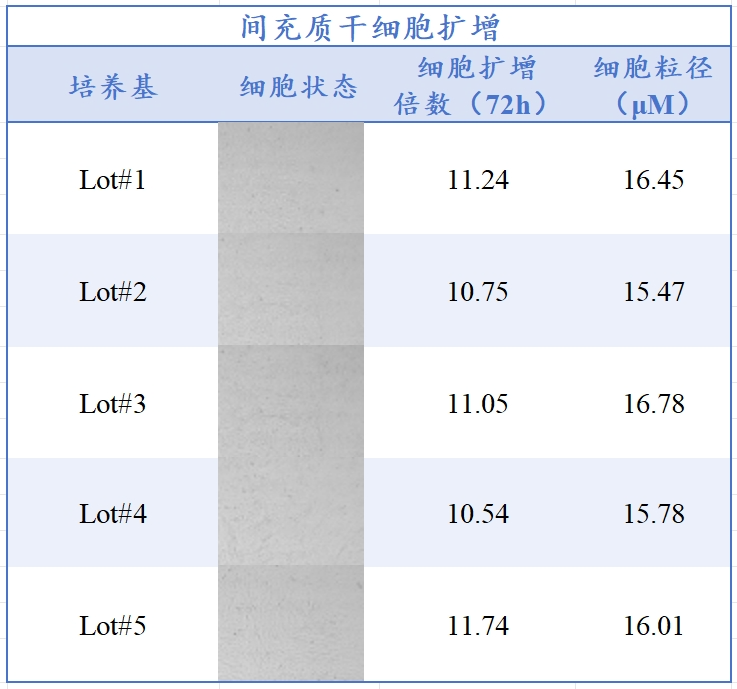 MG不朽情缘网站生物MSC无血清培养工艺定制化服务