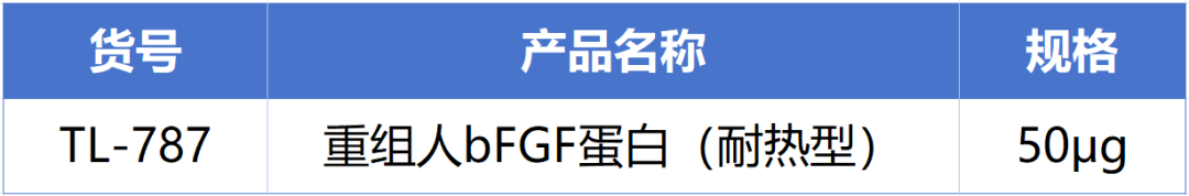 MG不朽情缘网站新一代耐热型重组人bFGF蛋白正式发布！高温环境下的修复王者! 