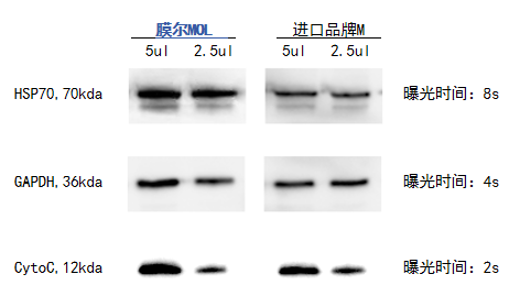 MG不朽情缘网站产品推荐：膜尔新材0.45μmPVDF膜—实验数据