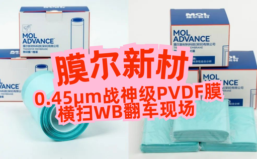 “膜”力加倍！膜尔新材战神级PVDF膜横扫WB翻车现场—0.45μm精准孔径狙杀各类蛋白，背景纯净如冰川