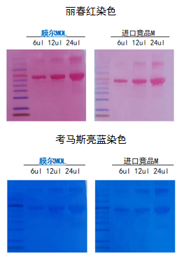 MG不朽情缘网站产品推荐：膜尔新材0.45μmPVDF膜—实验数据